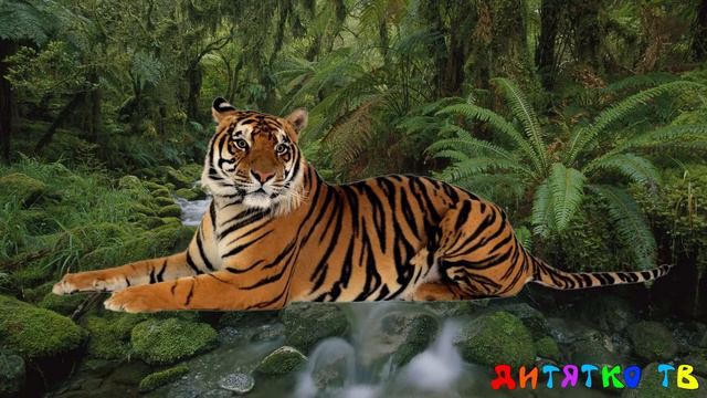 Звуки Животных для самых маленьких,собаки, кошки,коровы....