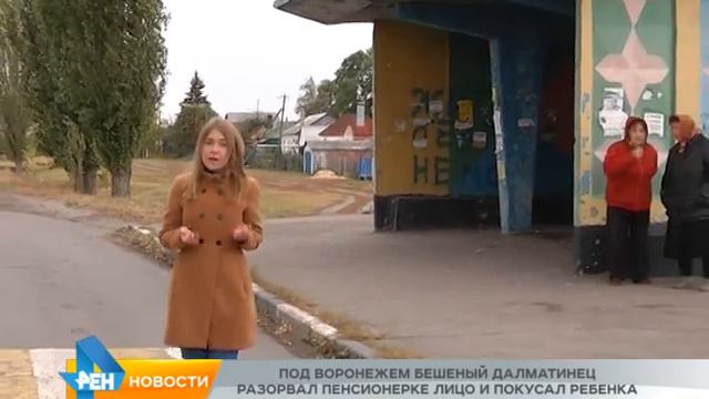 Бешеный далматинец