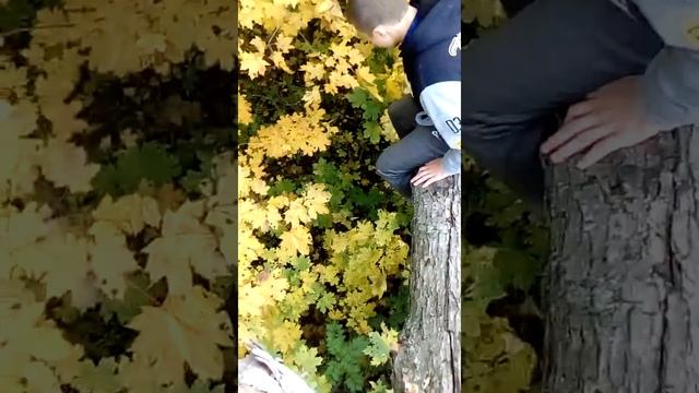 Наступил на теже грабли ???