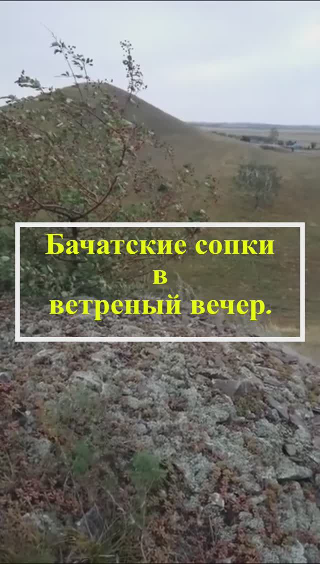 Бачатские сопки в ветреный вечер