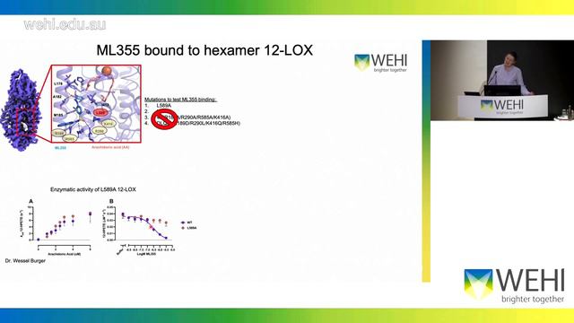 Glukhova A (2023): Lessons from cryo-EM of human 12-Lipoxygenase