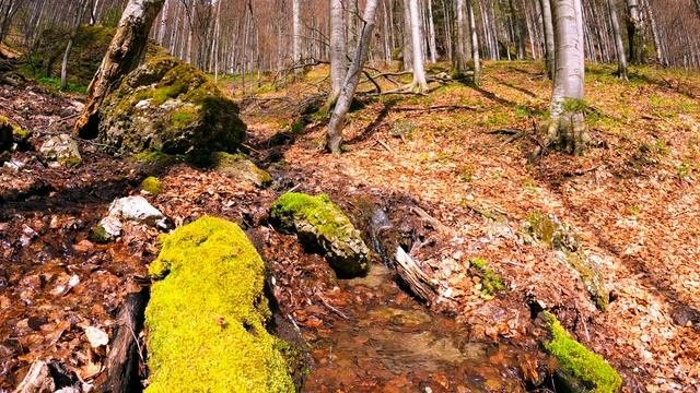Релакс. Журчание воды
