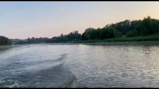 Подборка улова за летний сезон 2022 года