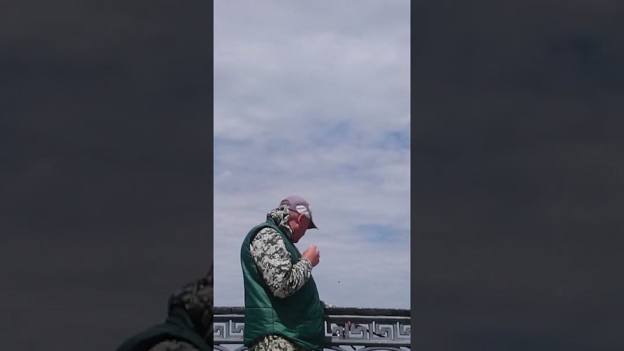 Рыбаки ловят селедку на набережной Астрахани Fishermen catch herring on the Astrakhan embankment