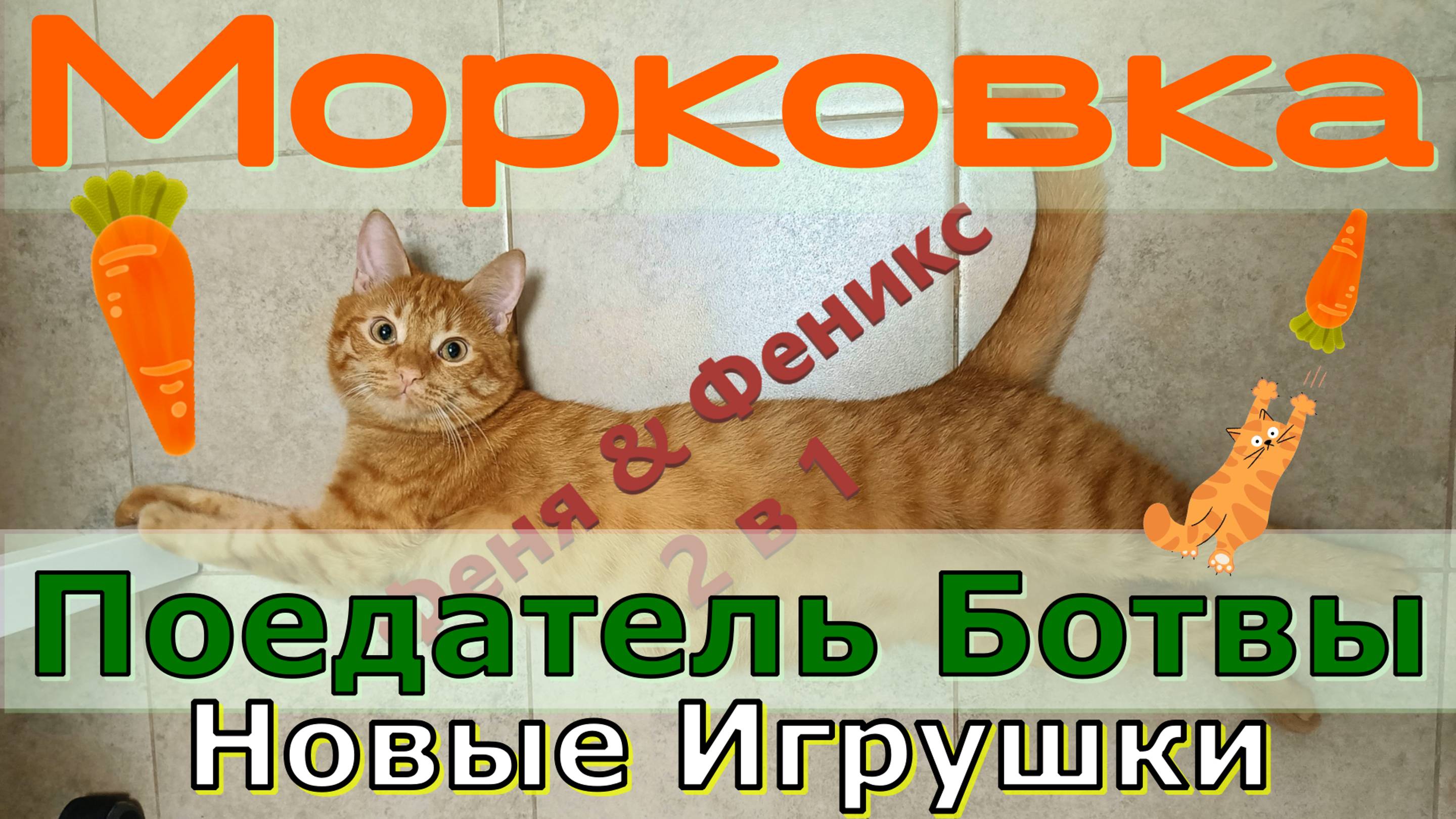 Морковка. Поедатель Ботвы. Новые Игрушки. Кот Феня, он же Феникс