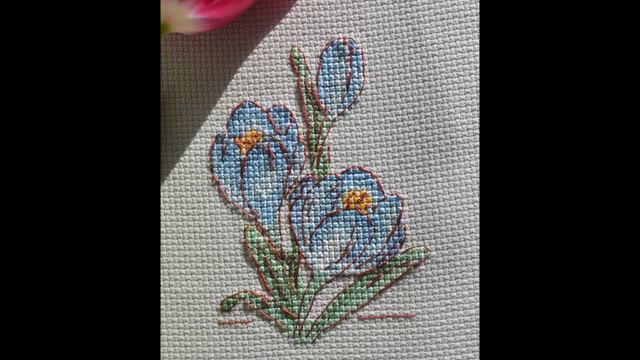 127.  КРОКУСЫ ( автор схемы Ольга Корнеева )