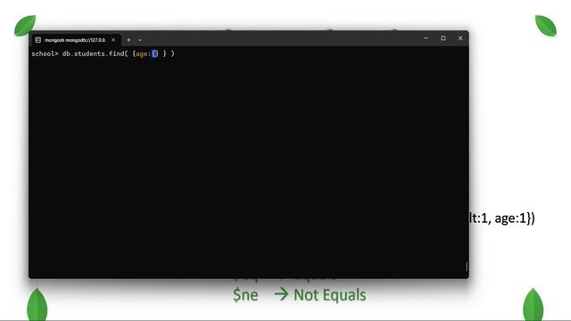4 Find Methods in MongoDB