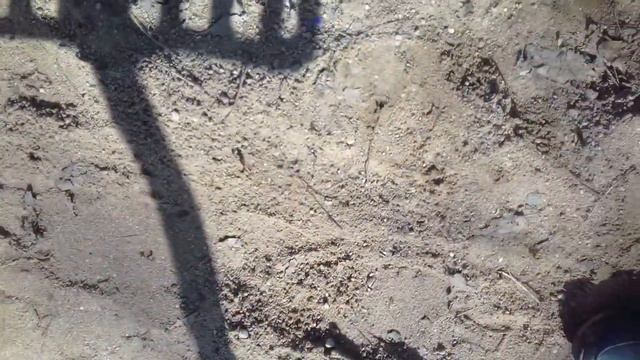 часть видео которое прервалось едис мармел адские конфеты
