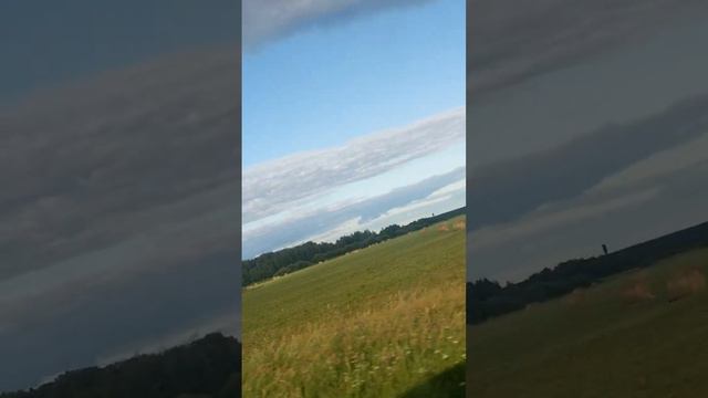 1000072081.mp4