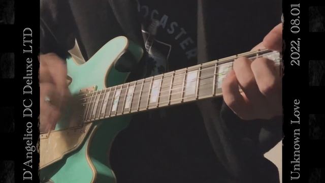 〈 Unknown Love 〉D'Angelico - “Charlotte” DC Deluxe Semi Hollow Body Cutaway Matte Surf Green