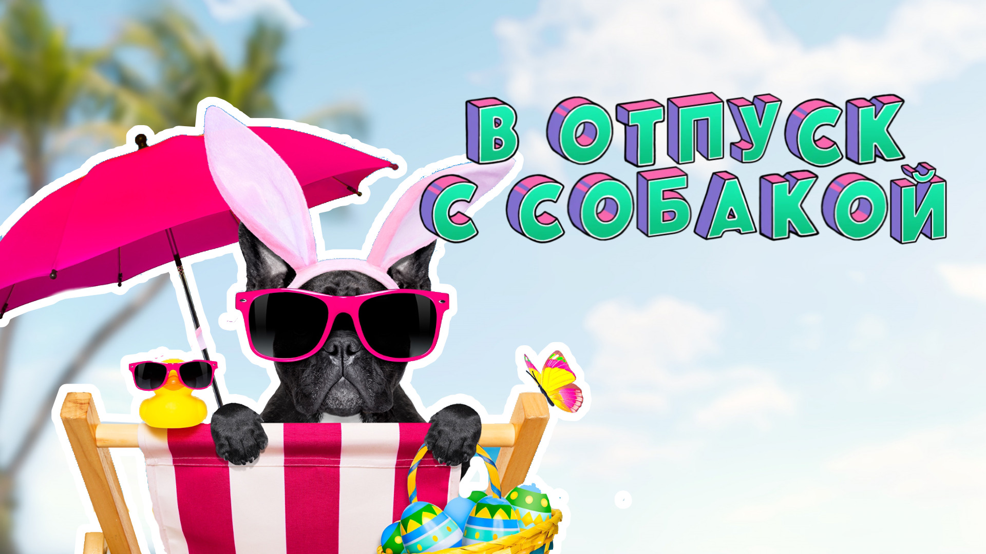 ОТПУСК С СОБАКОЙ | НА МОРЕ С СОБАКОЙ