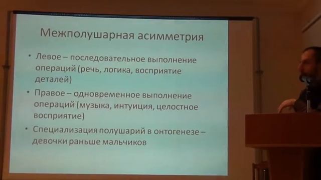 Функции коры больших полушарий 1