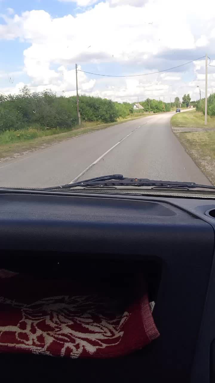 чалим дамой