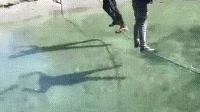 Кто кого