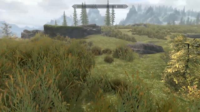 SKYRIM MODS COFFEE REVIEWS A Greener Skyrim