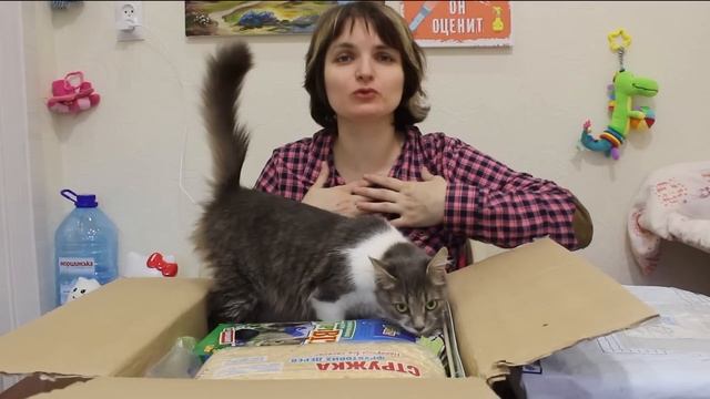 Умная кошка распаковывает посылки от подписчиков!