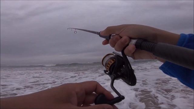 Oregon Coast Surf Fishing (How to Setup a Surf Fishing Rig)