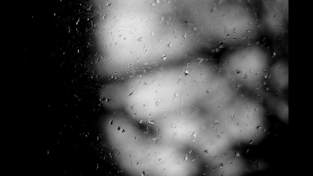 ANTON PRISCHEPA Black & White Photos (2013) 1-2 parts out of 5