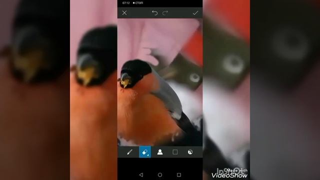 Замена фона стикером. Работаем в PicsArt.
