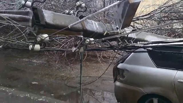 В Краснодаре столб упал на машину