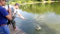Поимка Белого Амура