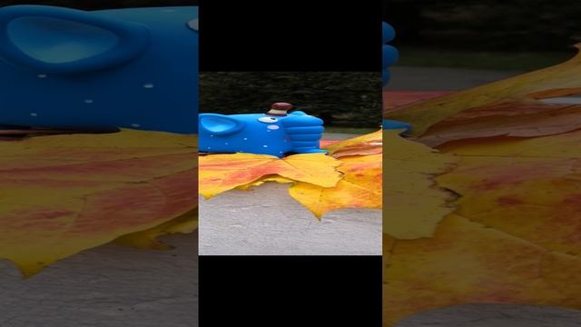 Как научить ребёнка видеть вокруг красивое