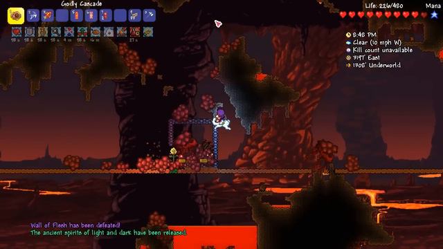 Terraria 1.3.1 Yo-Yo Expert Challenge || CODE 1, WALL OF FLESH, HOUSE COMPLETE [7]