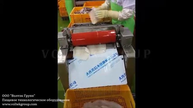 Машина для очистки тушек кальмара. Высокоскоростная шкуросъёмная машина