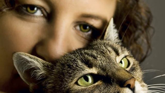 Она считала Что её котики лучше мужчин Они не обижают Но судьба её резко изменилась когда подобрала