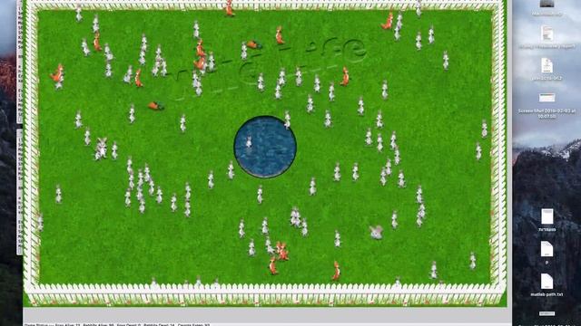 Erlang Distributed Application - Wild Life simulation