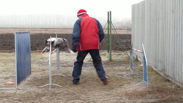 Тренировка поворота.(04.11.2014 г.)