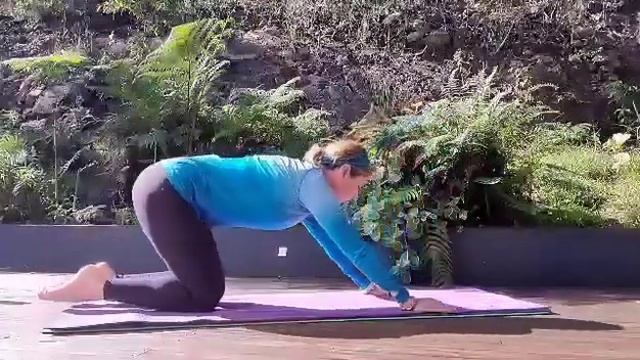 Polestar Pilates Advanced 2 matwork