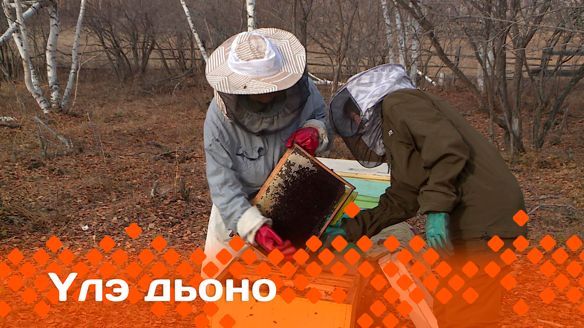 Үлэ дьоно  28.11.23