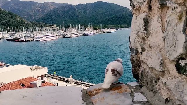 Замок Мармариса и археологический музей. Турция / Marmaris Castle and Archaeological Museum. Turkey