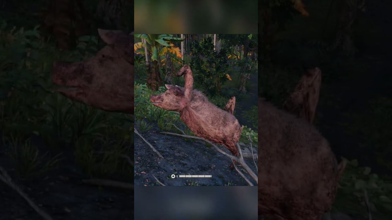 #farcry6  ХрЮшА  #farcry