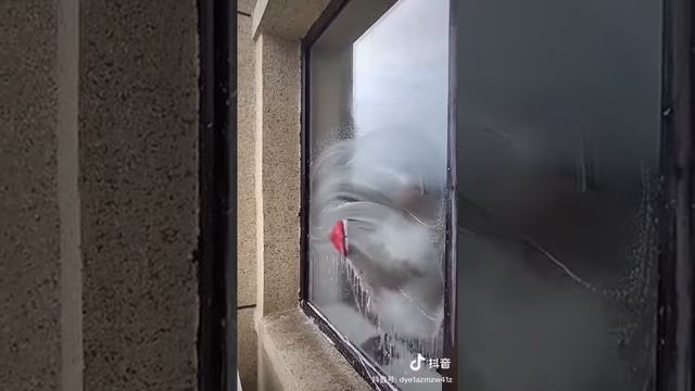 Как мыть окно чисто