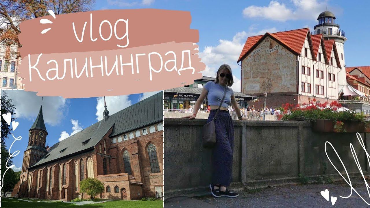 vlog 10. 1/6 Калининград. 20-21 августа 2023