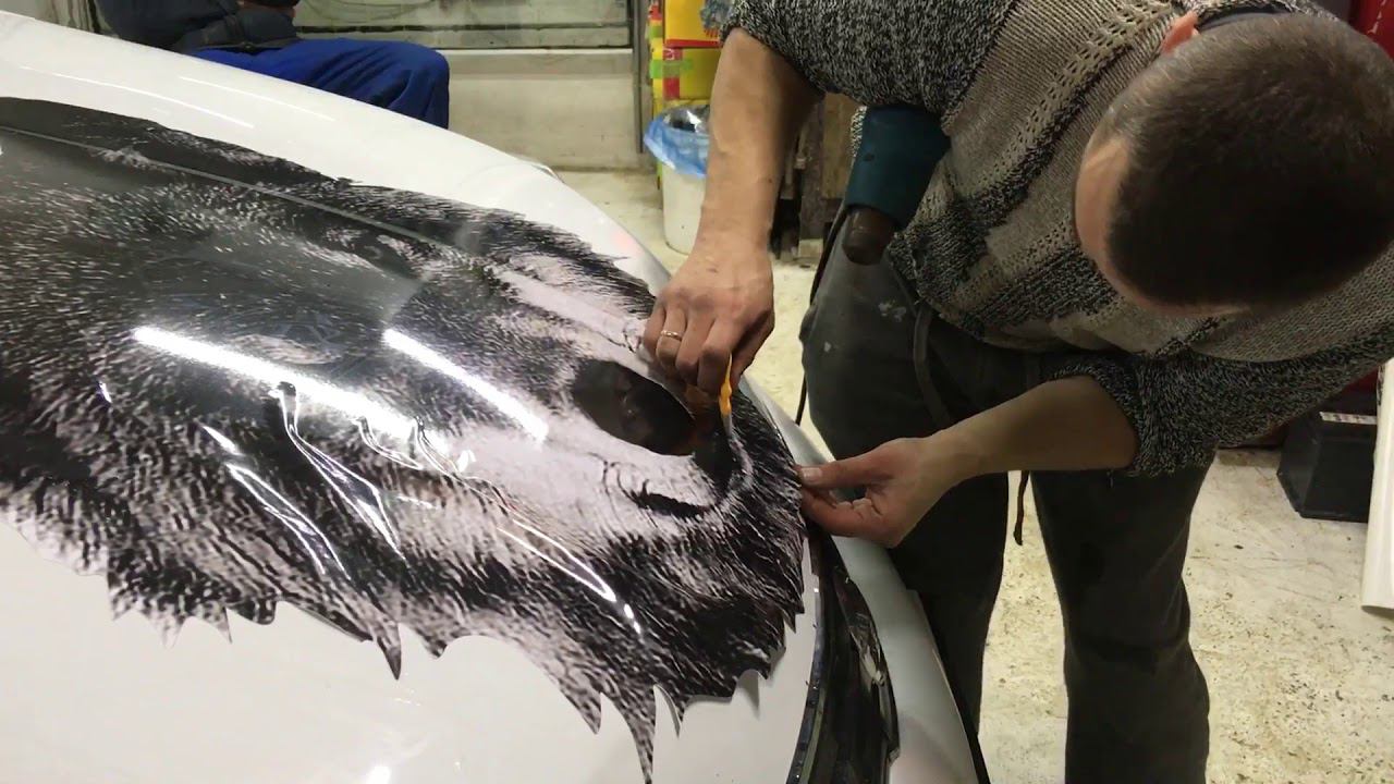 Винилография Волк на капот( полная версия)