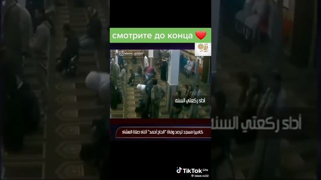 21 ноября 2023 г.(3)