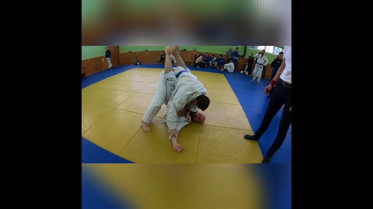 Семья ячейка общества. Республика по синим поясам джиу-джитсу,