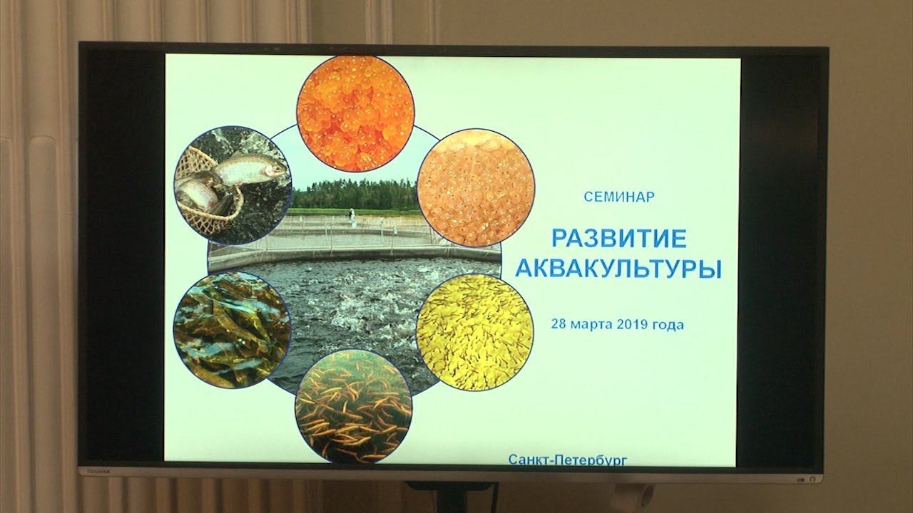 ПРОФтайм 14/616 от 3 апреля 2019 года