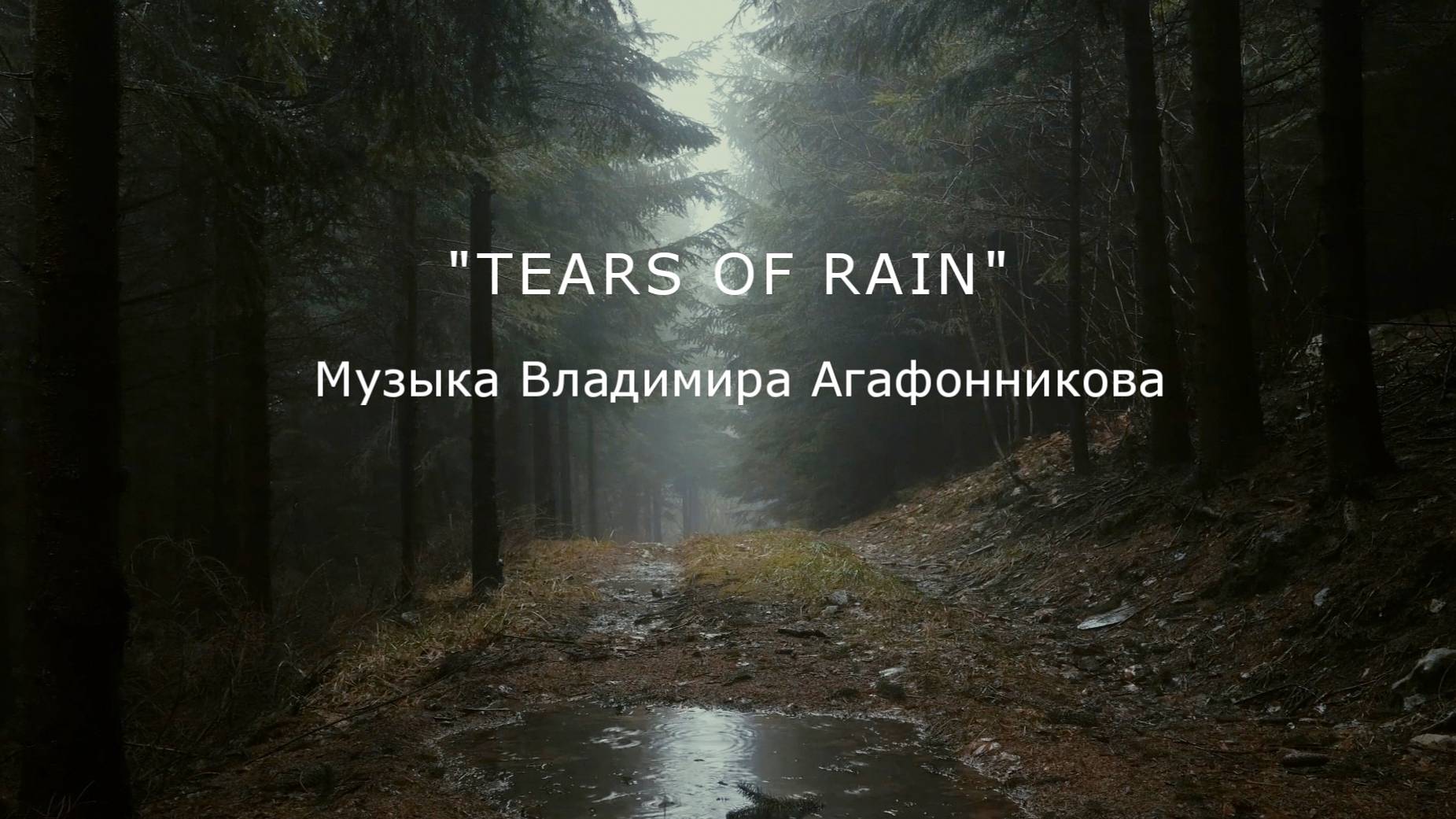 "TEARS OF RAIN" (Музыка Владимира Агафонникова)