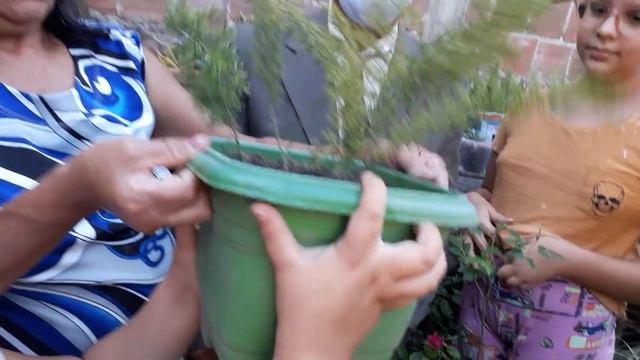 Brincando e mostrando as plantas