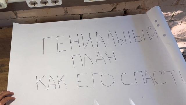 Развлечения на природе