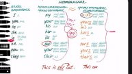 Possessive pronouns - притяжательные местоимения