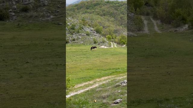 Конные прогулки в Требине,Босния
