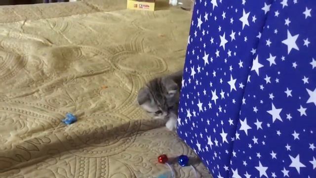 Муизза Музяковна