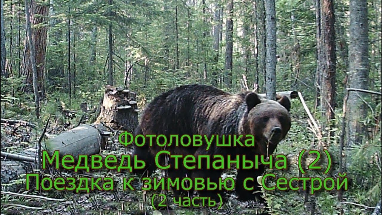 Фотоловушка Медведь Степаныча 2 Поездка к зимовью с Сестрой