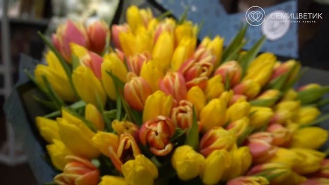 Букет из 101 тюльпана микс