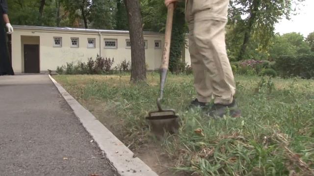 Субботник в День Божьего творения